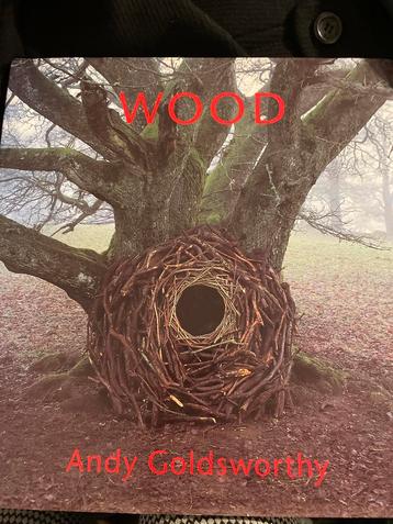Andy Goldsworthy - Wood beschikbaar voor biedingen