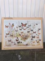 Engelse schoolplaat vlinders British butterflies, Natuur en Biologie, Ophalen of Verzenden