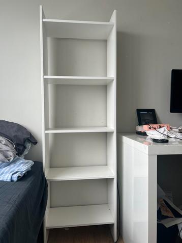 IKEA SHELVES BAGGEBO