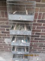 5 dlg broed-toren     metaal, Dieren en Toebehoren, Ophalen, Zo goed als nieuw, Metaal, Vogelkooi