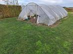 Tunnelbogen wandelkappen tunnelkas, Tuin en Terras, Kassen, Ophalen of Verzenden, Glas, Zo goed als nieuw