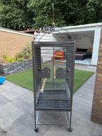 Papegaaienkooi, Ophalen, Zo goed als nieuw, Metaal, Vogelkooi