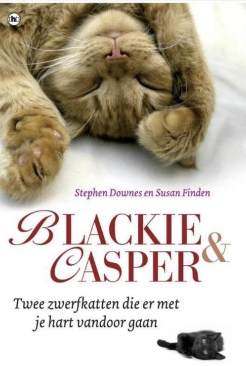 Blackie en Casper, Stephen Downes, Boeken, Dieren en Huisdieren, Zo goed als nieuw, Katten, Verzenden