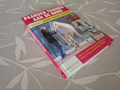 PAARDEN TRAINEN AAN DE HAND - Lesley Bayley, Boeken, Dieren en Huisdieren, Gelezen, Paarden of Pony's, Ophalen of Verzenden