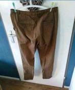Bruine broek maat 44 merk h en m, H&M, Bruin, Maat 42/44 (L), Ophalen of Verzenden
