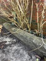 Stenen border, Tuin en Terras, Bielzen en Borders, Ophalen, Gebruikt, 100 tot 200 cm, Border