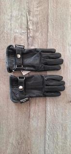 Nieuwe  QHP paardrijhandschoenen xs, Dressuur, Overige typen, Nieuw, Ophalen of Verzenden