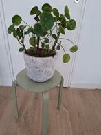 Houten mint kleurig Ikea krukje, plantentafel, bijzettafel, Ophalen, Gebruikt, Hout