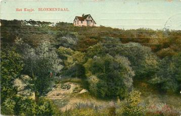 (300-068-031) Bloemendaal Het Kopje beschikbaar voor biedingen