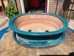 Bonsaischaal, Tuin en Terras, Bloembakken en Plantenbakken, Kunststof, Minder dan 30 cm, Minder dan 60 cm, Rond