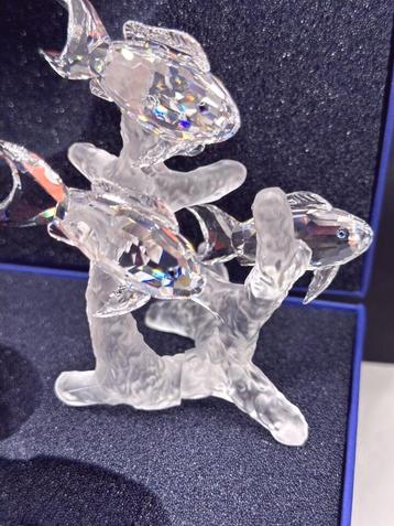 Swarovski School vissen incl.Doos & certificaat   beschikbaar voor biedingen