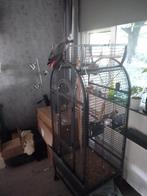 Grijze roodstaart met kooi., Dieren en Toebehoren, Vogels | Hokken en Kooien, Ophalen, Zo goed als nieuw, Metaal, Vogelkooi