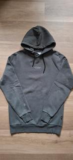 Hoodie van Daily Aesthetikz maat S. (past ook bij maat 176), Ophalen of Verzenden, Zo goed als nieuw, Daily aesthetikz, Grijs