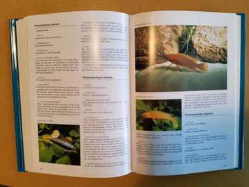 Tropische aquariumvissen encyclopedie beschikbaar voor biedingen