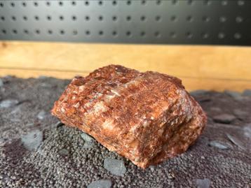 Aquarium Rock Red Scale beschikbaar voor biedingen