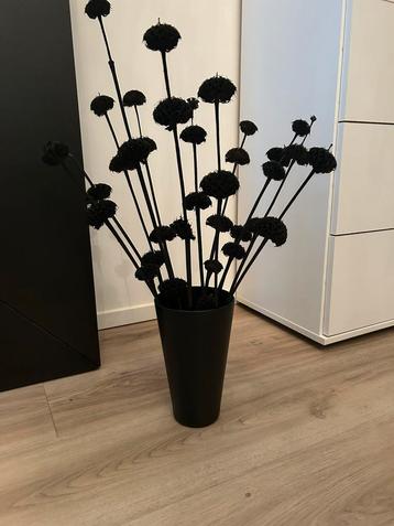Zwarte vaas met droogbloemen 