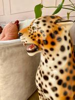 Luipaard bruin wit handgemaakt Italië Italiaans groot beeld, Ophalen of Verzenden