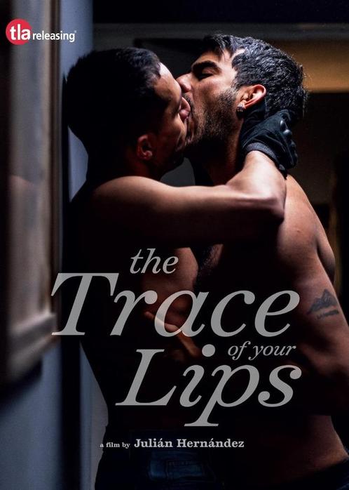 dvd gay interest The Trace Of Your Lips Julián Hernández R2, Cd's en Dvd's, Dvd's | Filmhuis, Zo goed als nieuw, Overige gebieden