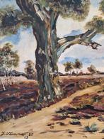 Winterkorting: Schilderij Landschap met Boom, Ophalen of Verzenden