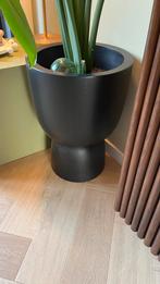 Elho bloempot op voet zwart, Ophalen, Tuin, Kunststof, Rond