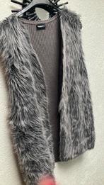 Vest 44, Kleding | Dames, Ophalen of Verzenden, Zo goed als nieuw, Maat 42/44 (L)