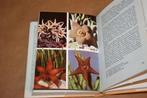Wondere wereld van cactussen en vetplanten., Ophalen of Verzenden, Gelezen, Natuur algemeen