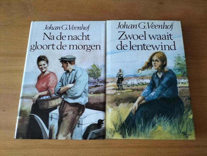 Johan G. Veenhof Romans, Boeken, Romans, Gelezen, Nederland, Ophalen of Verzenden