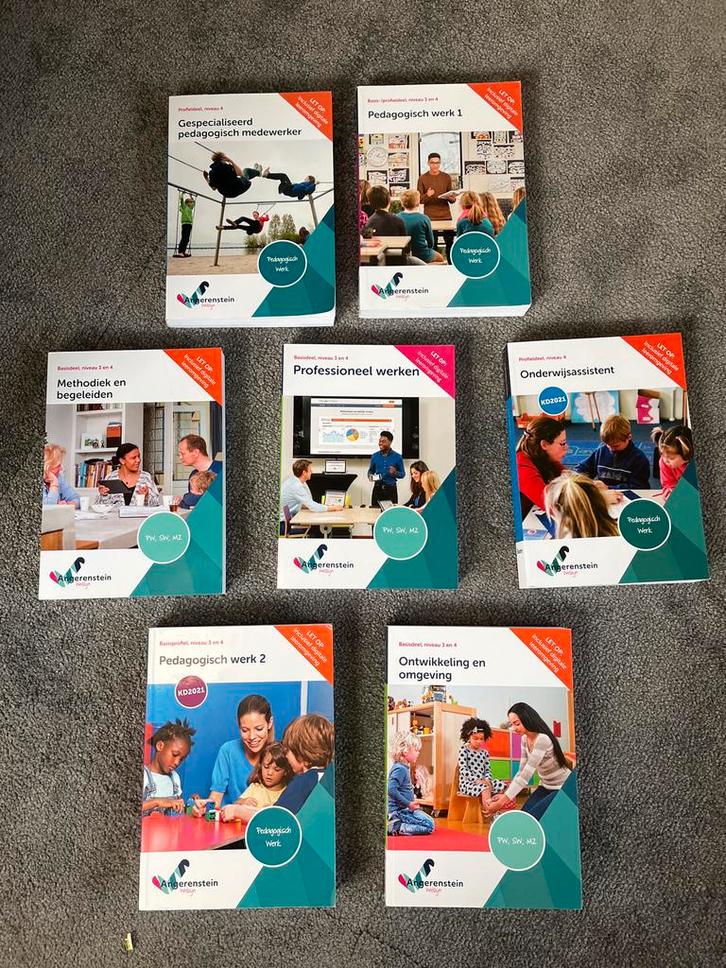 Schoolboeken Angerenstein Pedagogisch Werk, Boeken, Studieboeken en Cursussen, Zo goed als nieuw, MBO, Ophalen