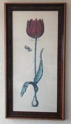 Afbeelding tulp in houten lijst met glasplaat, Ophalen, Gebruikt