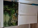 Aquarium te koop incl vissen( ook los te koop), Dieren en Toebehoren, Vissen | Aquaria en Toebehoren, Ophalen, Gebruikt, Gevuld zoetwateraquarium