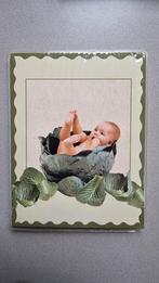 Foto Insteek Album Anne Geddes, Audio, Tv en Foto, Fotoalbums en Accessoires, Ophalen of Verzenden, Nieuw, Fotoalbum