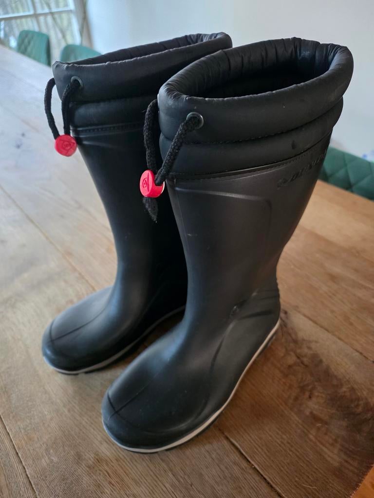 Dunlop gevoerde laarzen maat 36, Ophalen of Verzenden, Zo goed als nieuw, Laarzen