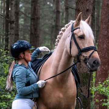 Fantastische palomino, bereden en betuigd