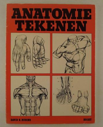 Rubins, David K. - Anatomie-tekenen beschikbaar voor biedingen