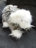 Langharig sier hondje uit New Zealand, Ophalen, Zo goed als nieuw, Hond
