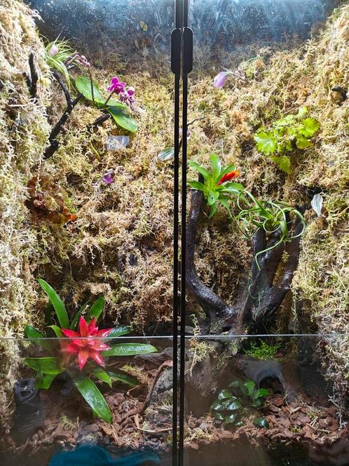 Ikea Rudsta terrarium vivarium paludarium 80x37x120, Dieren en Toebehoren, Reptielen en Amfibieën | Toebehoren, Zo goed als nieuw