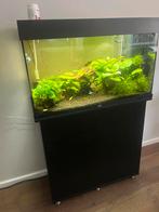 Aquarium incl kast, Ophalen of Verzenden, Zo goed als nieuw