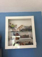 IKEA Besta vitrine kast - glazen wandkast, Ophalen, Met plank(en), 50 tot 100 cm, Zo goed als nieuw