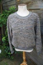 Trui grijs/ bruin Caroline Biss mt 40 Vaste prijs, Kleding | Dames, Truien en Vesten, Maat 38/40 (M), Bruin, Ophalen of Verzenden
