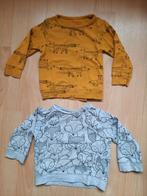 2 longsleeves maat 86 Hema, Kinderen en Baby's, Babykleding | Maat 86, Meisje, Shirtje of Longsleeve, Ophalen of Verzenden, Zo goed als nieuw