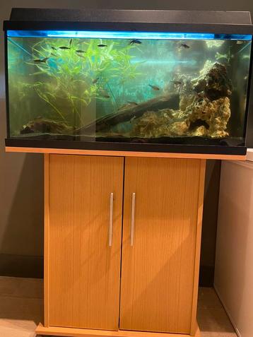 Juwel aquarium 120 liter beschikbaar voor biedingen