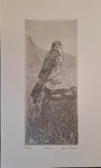Ets dwergvalk door Jean Thomas, Antiek en Kunst, Kunst | Etsen en Gravures, Ophalen of Verzenden