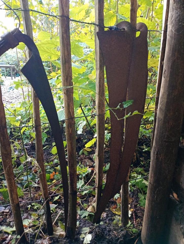 Halloweenactie Oude Seizen en Dorsvlegel, Antiek en Kunst, Antiek | Gereedschap en Instrumenten, Ophalen of Verzenden