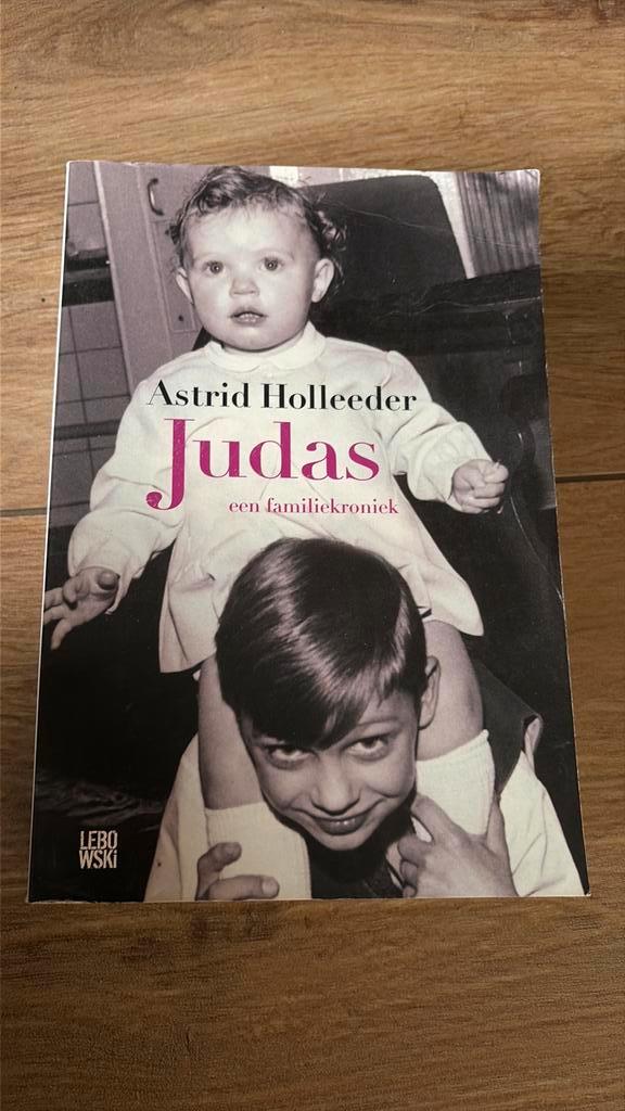 Astrid Holleeder - Judas, Boeken, Detectives, Zo goed als nieuw, Ophalen of Verzenden