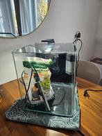 Dennerle Nano Cube 30 liter compleet I 30 x 30 x 35 CM, Ophalen, Zo goed als nieuw, Leeg aquarium