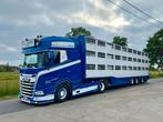 WSI   DAF XG+ MY25 +  LIVESTOCK TRAILER PEETERS DE BAKKER, Hobby en Vrije tijd, Modelauto's | 1:50, Ophalen of Verzenden, Nieuw