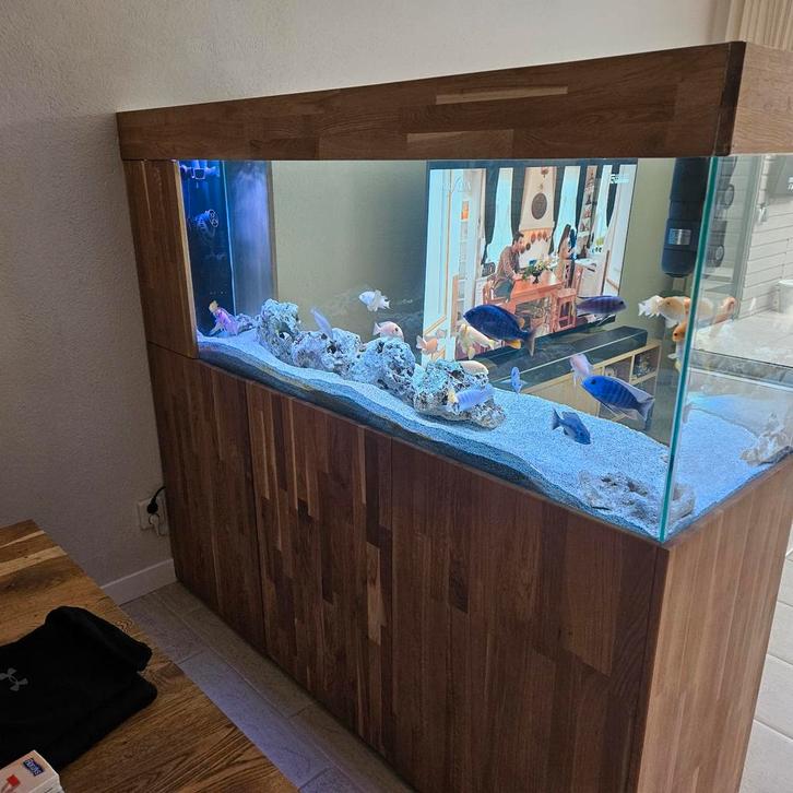Aquarium met fluval verlichting en vissen en fx6 pompen, Dieren en Toebehoren, Vissen | Aquaria en Toebehoren, Gevuld zoetwateraquarium
