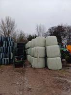 Ronde balen hooi, Dieren en Toebehoren, Dierenvoeding, Ophalen, Vee