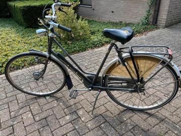Gazelle Sport Primeur beschikbaar voor biedingen
