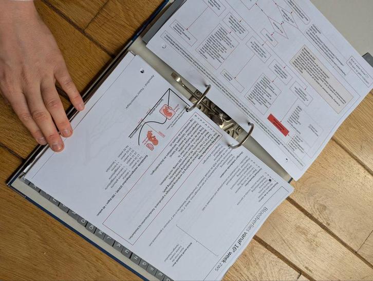 Praktische visuele samenvattingen opleiding verloskunde AVM, Boeken, Schoolboeken, Zo goed als nieuw, Overige niveaus, Ophalen of Verzenden